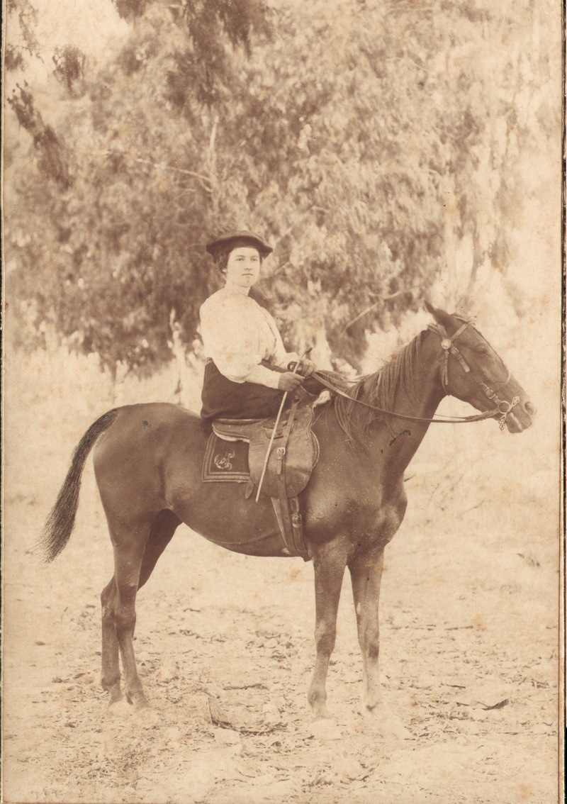 ההרכב המוזיקלי של בית ספר ניל"י בשיר:"הולכת נגד הרוח", מוקדש לשרה אהרנסון